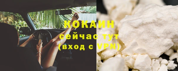 спиды Богданович