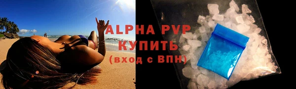 спиды Богданович