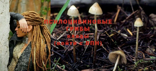 jwh Богородицк