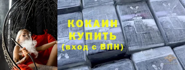 спиды Богданович