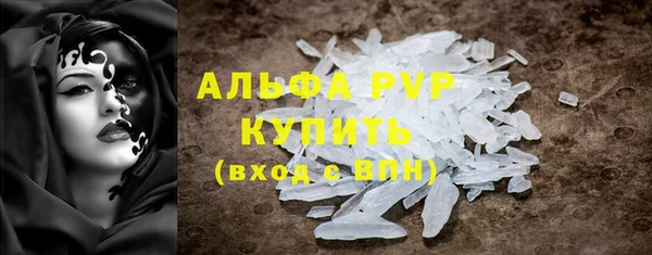 спиды Богданович
